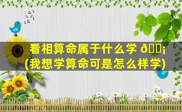 看相算命属于什么学 🐡 (我想学算命可是怎么样学)
